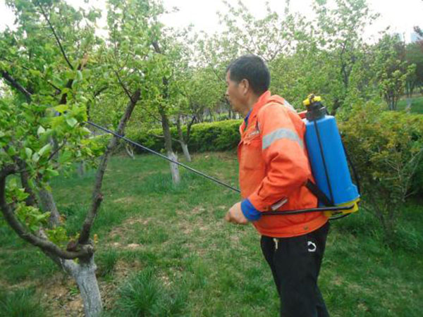 绿化养护